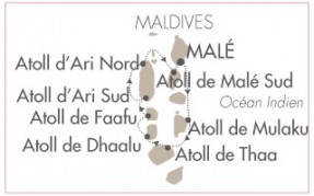 Carte Carte